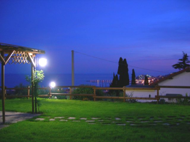 Night view of the garden