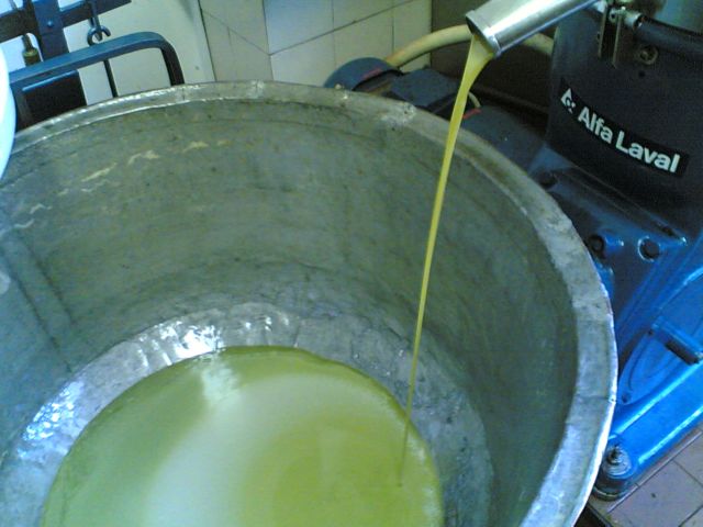 The production steps of extra-virgin olive oil